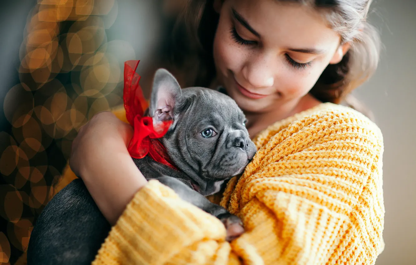 Photo wallpaper glare, mood, dog, friendship, girl, puppy, face, bow