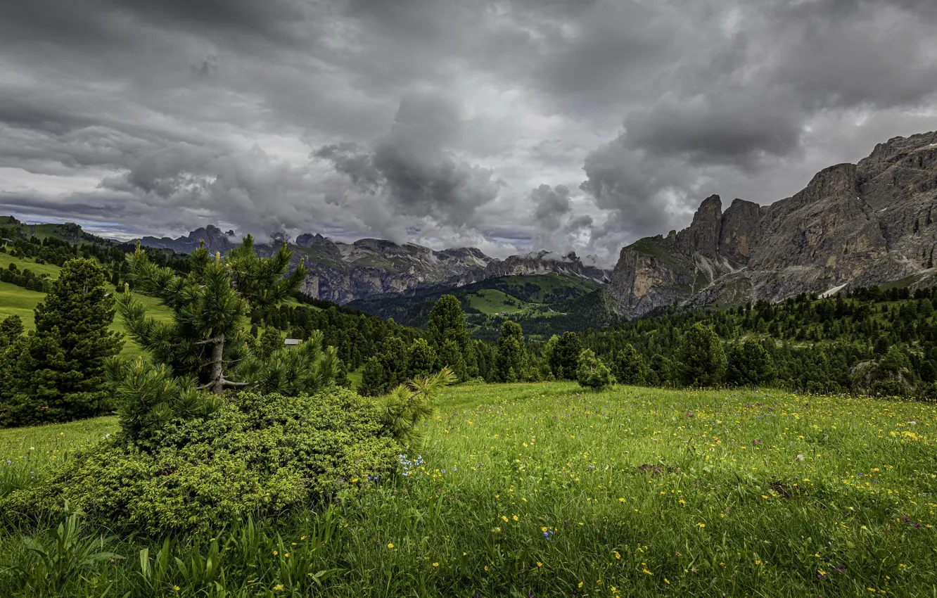 Photo wallpaper summer, mountains, nature