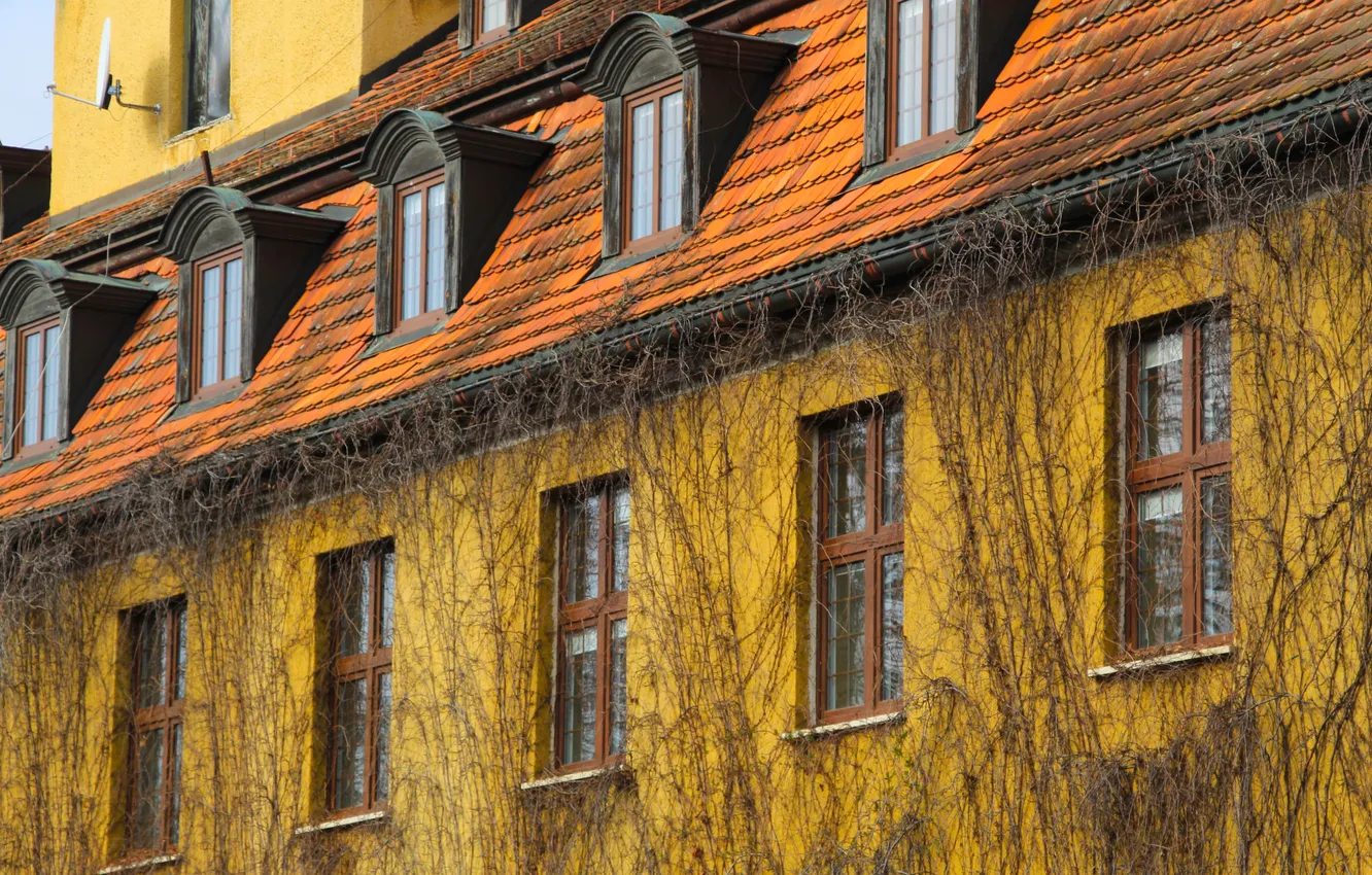 Photo wallpaper windows, house, park, building