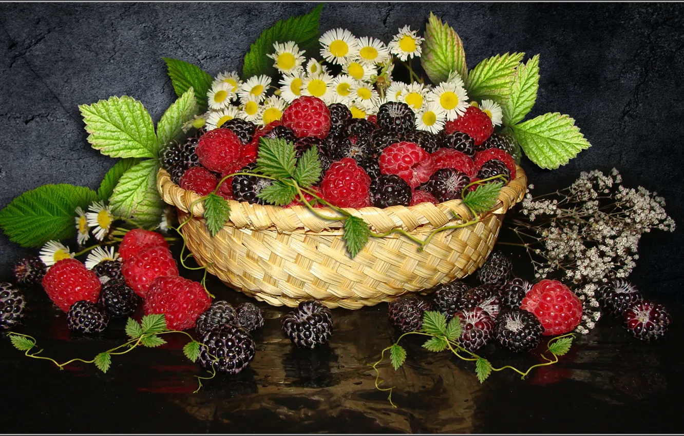 Photo wallpaper flowers, raspberry, chamomile, berry, still life, BlackBerry, the Wallpapers, photo Elena Anikina