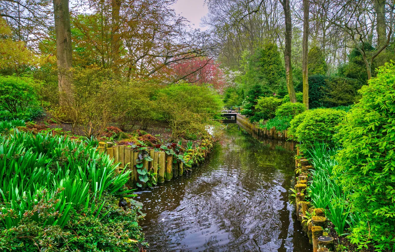 Photo wallpaper greens, trees, pond, Park, Netherlands, the bridge, the bushes, Keukenhof