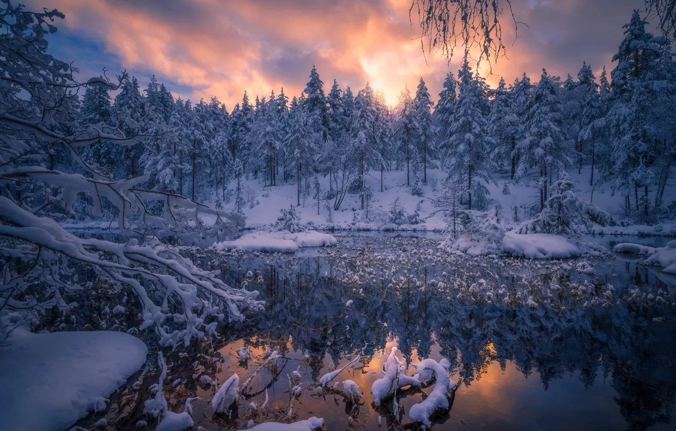 Photo wallpaper winter, snow, nature, river