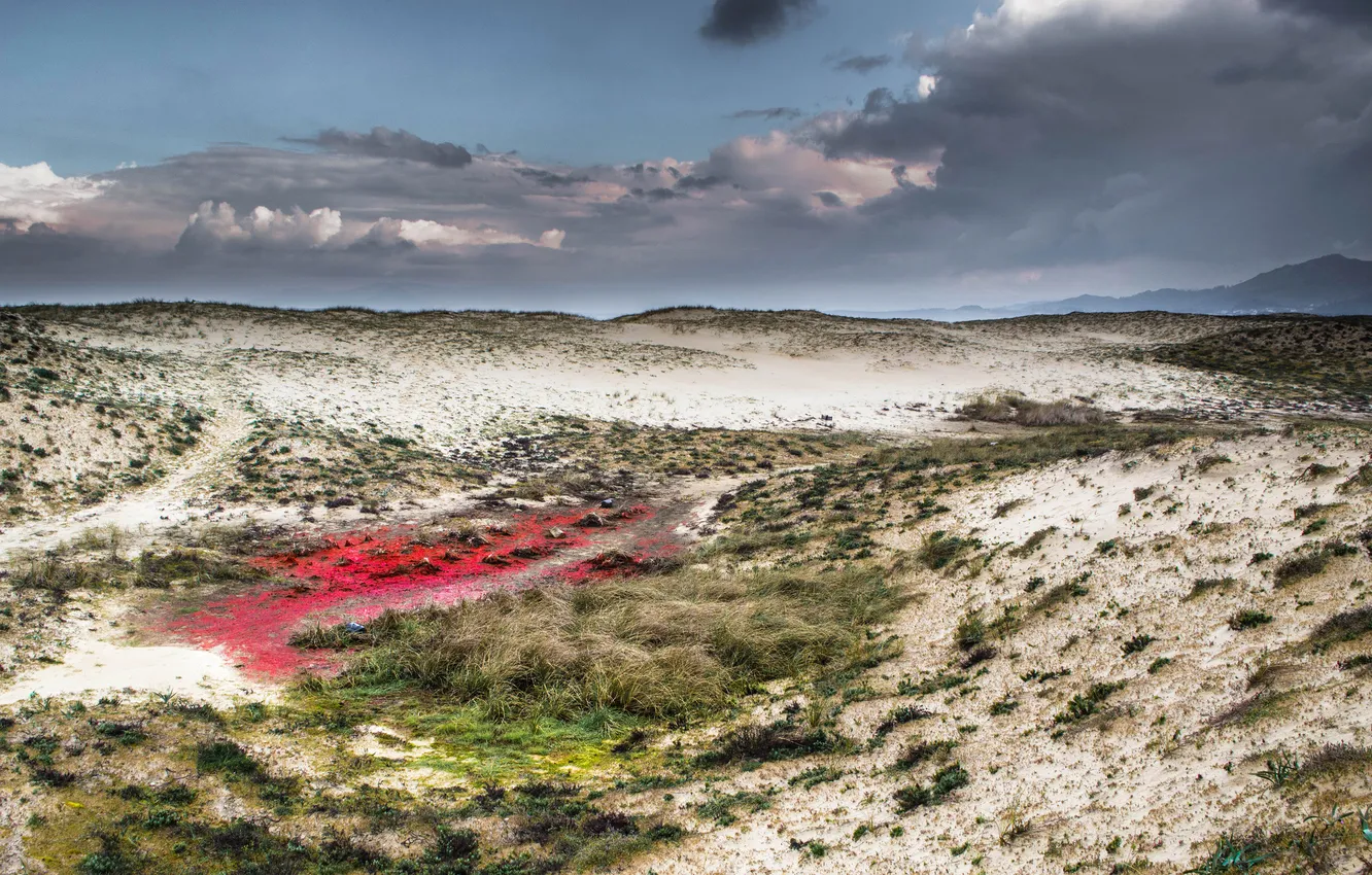 Photo wallpaper sand, the sky, clouds, mountains, desert, plant