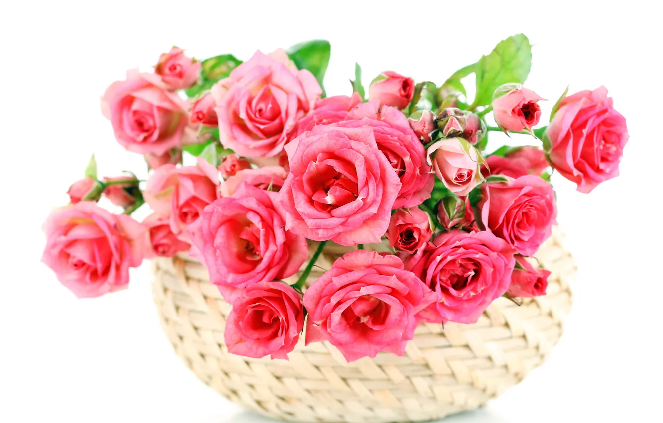 Photo wallpaper flowers, roses, pink, pink, bouquet, roses, basket