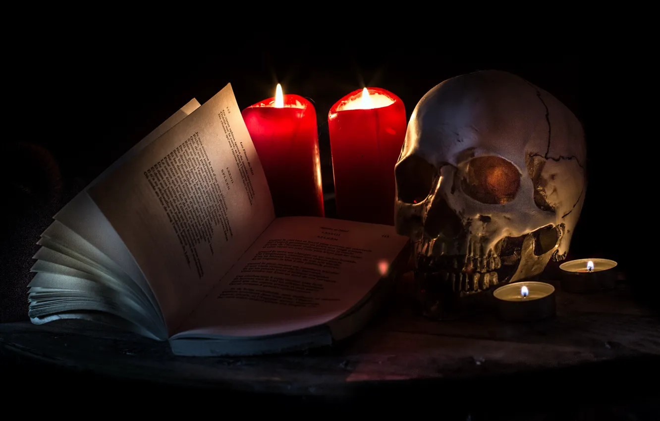 Photo wallpaper background, skull, book