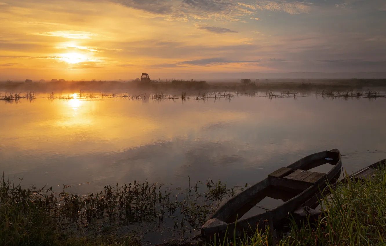 Photo wallpaper fog, lake, dawn, boat