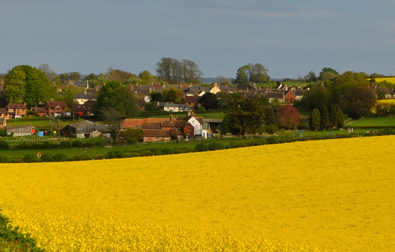 Photo wallpaper field, the sky, flowers, village, home, rape