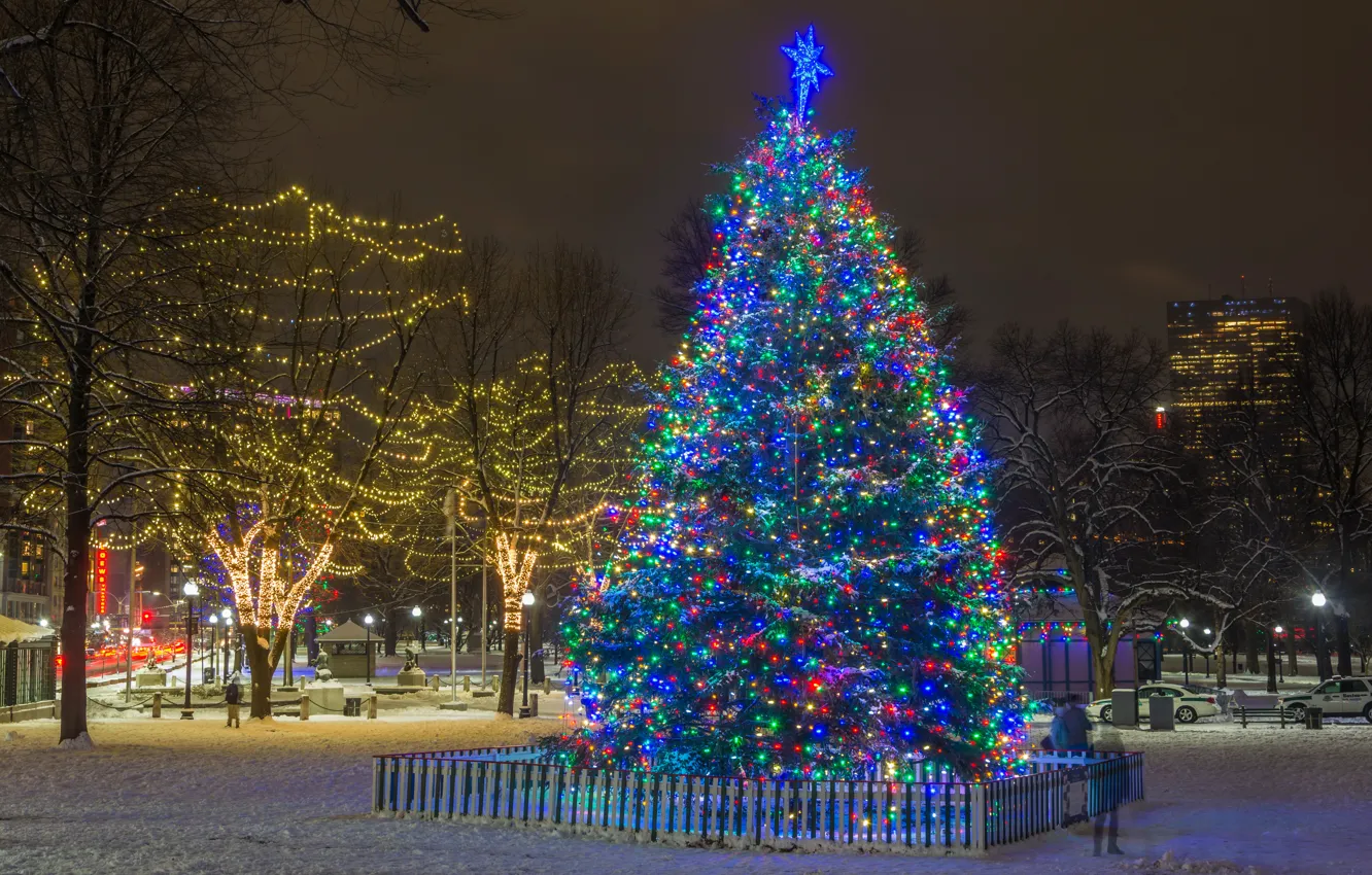 Photo wallpaper lights, holiday, tree, new year