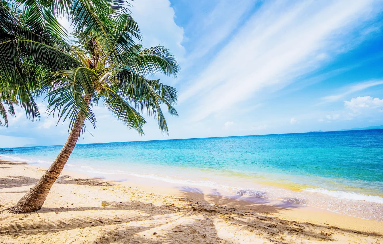 Photo wallpaper sand, sea, wave, beach, summer, the sky, palm trees, shore