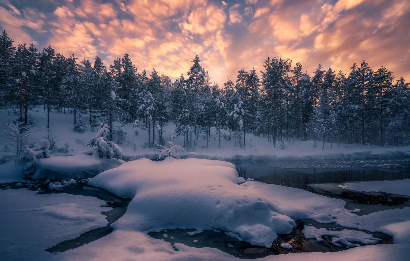 Photo wallpaper winter, forest, snow, trees, river, Norway, the snow, Norway