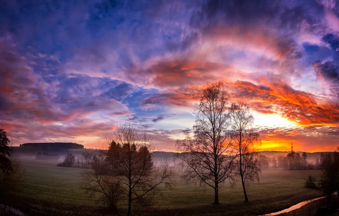 Photo wallpaper morning, Park, field, sunrise, dawn, the sky