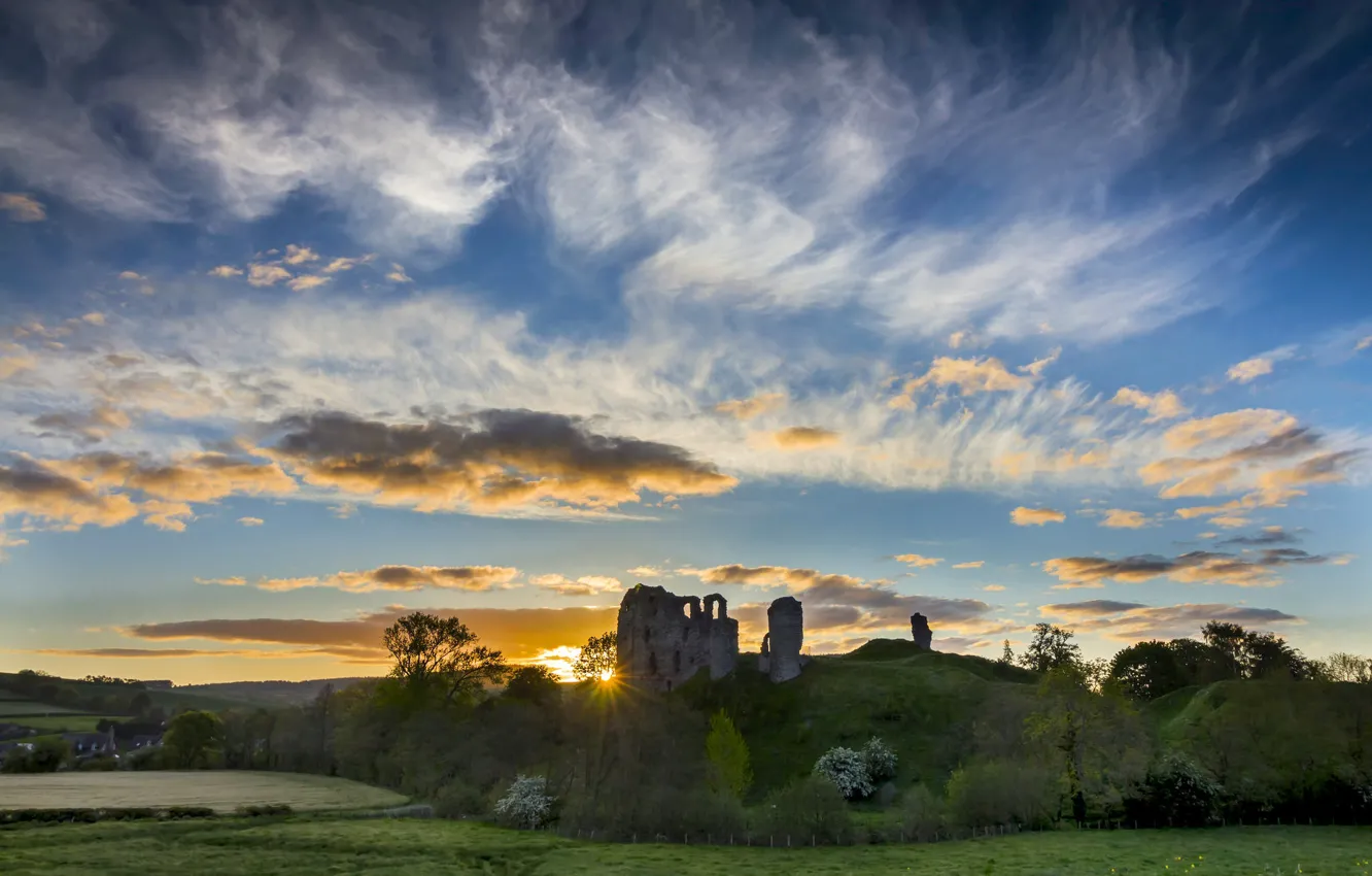 Photo wallpaper field, the sky, the sun, clouds, light, trees, sunset, blue