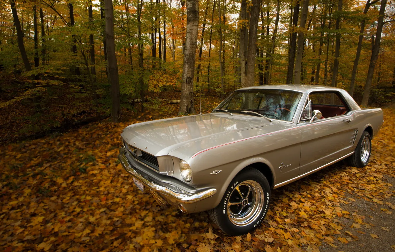 Photo wallpaper road, autumn, 1966 Ford Mustang