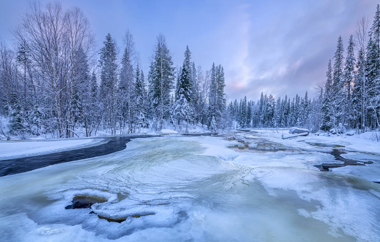 Photo wallpaper ice, winter, forest, snow, trees, river, Russia, The Kola Peninsula