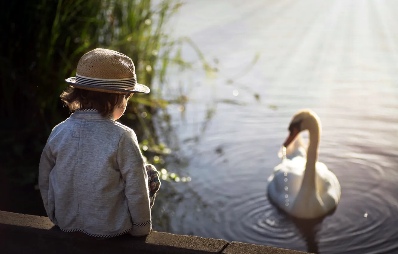 Photo wallpaper lake, boy, Swan