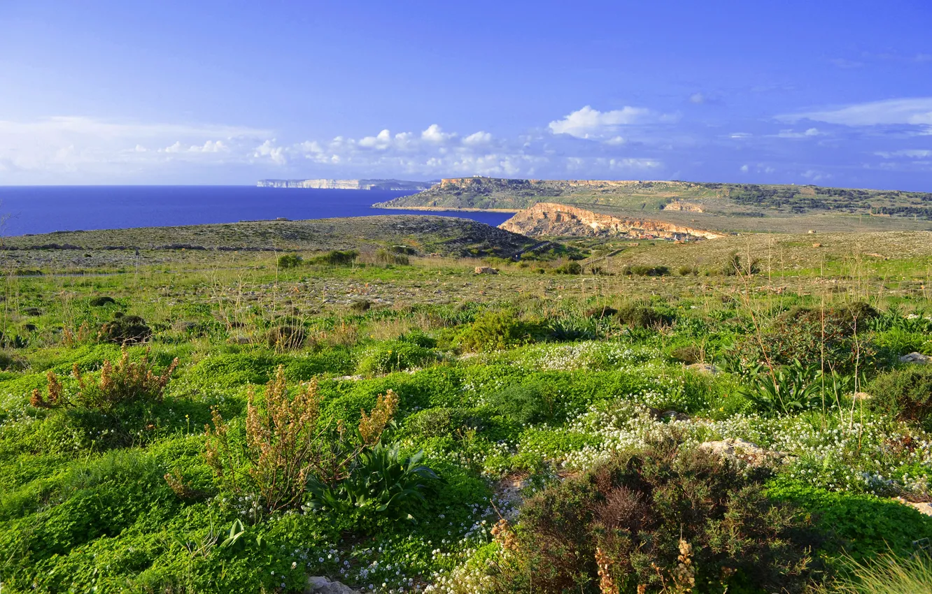 Photo wallpaper sea, the sky, grass, clouds, island, meadow, Malta, cvet