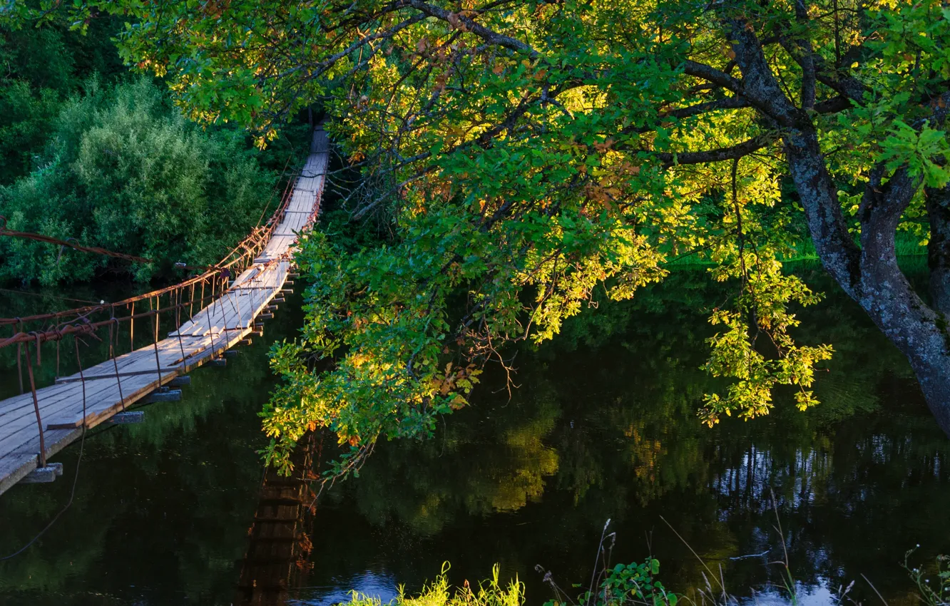 Photo wallpaper autumn leaves, the reflection in the water, suspension bridge, river in the forest
