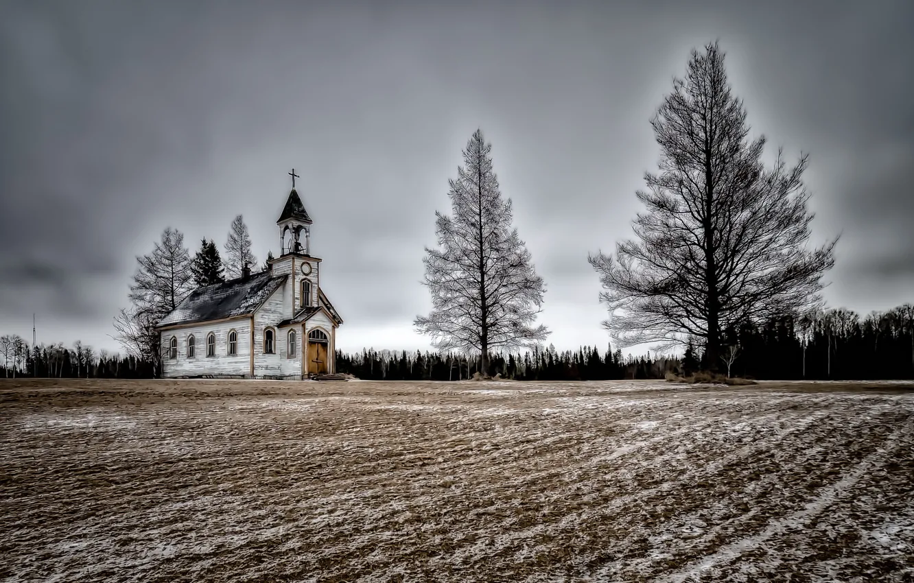 Photo wallpaper field, trees, temple