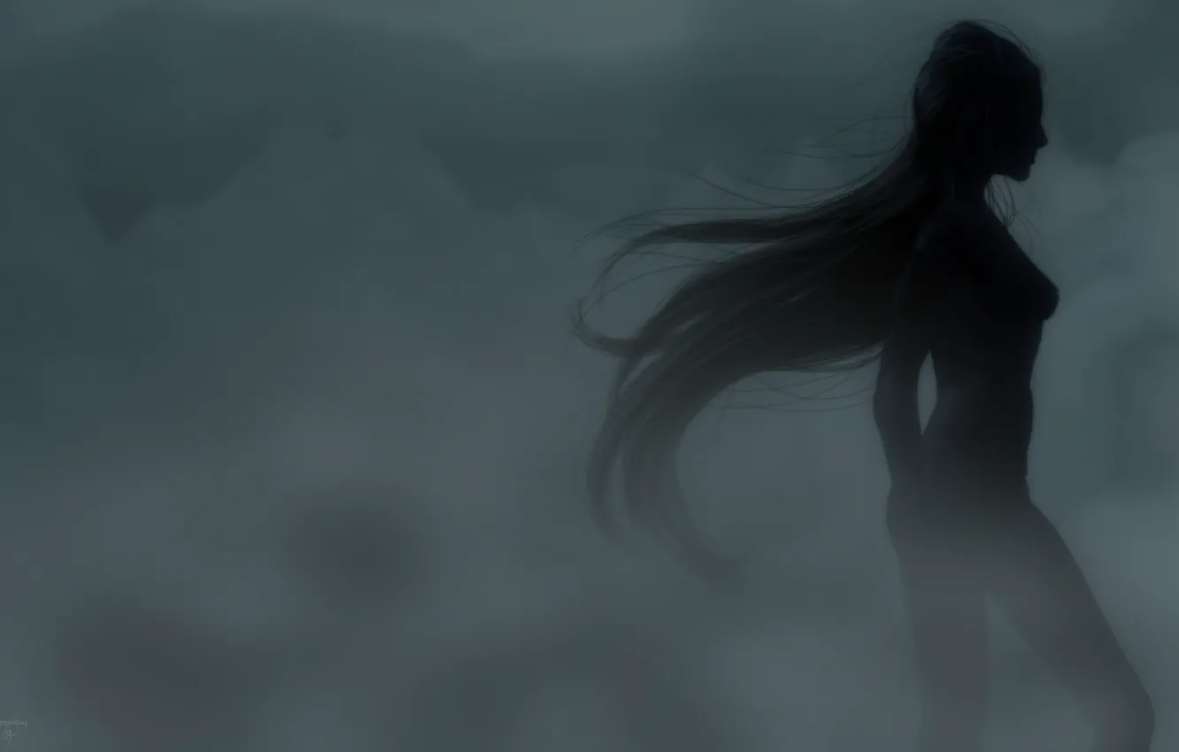 Photo wallpaper girl, fog, rendering, silhouette, profile, long hair, is