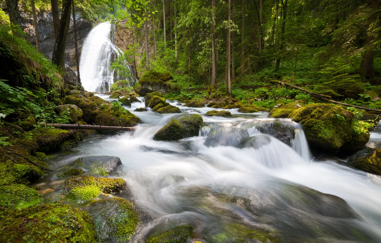 Photo wallpaper forest, trees, river, stones, waterfall, Germany, Berchtesgaden