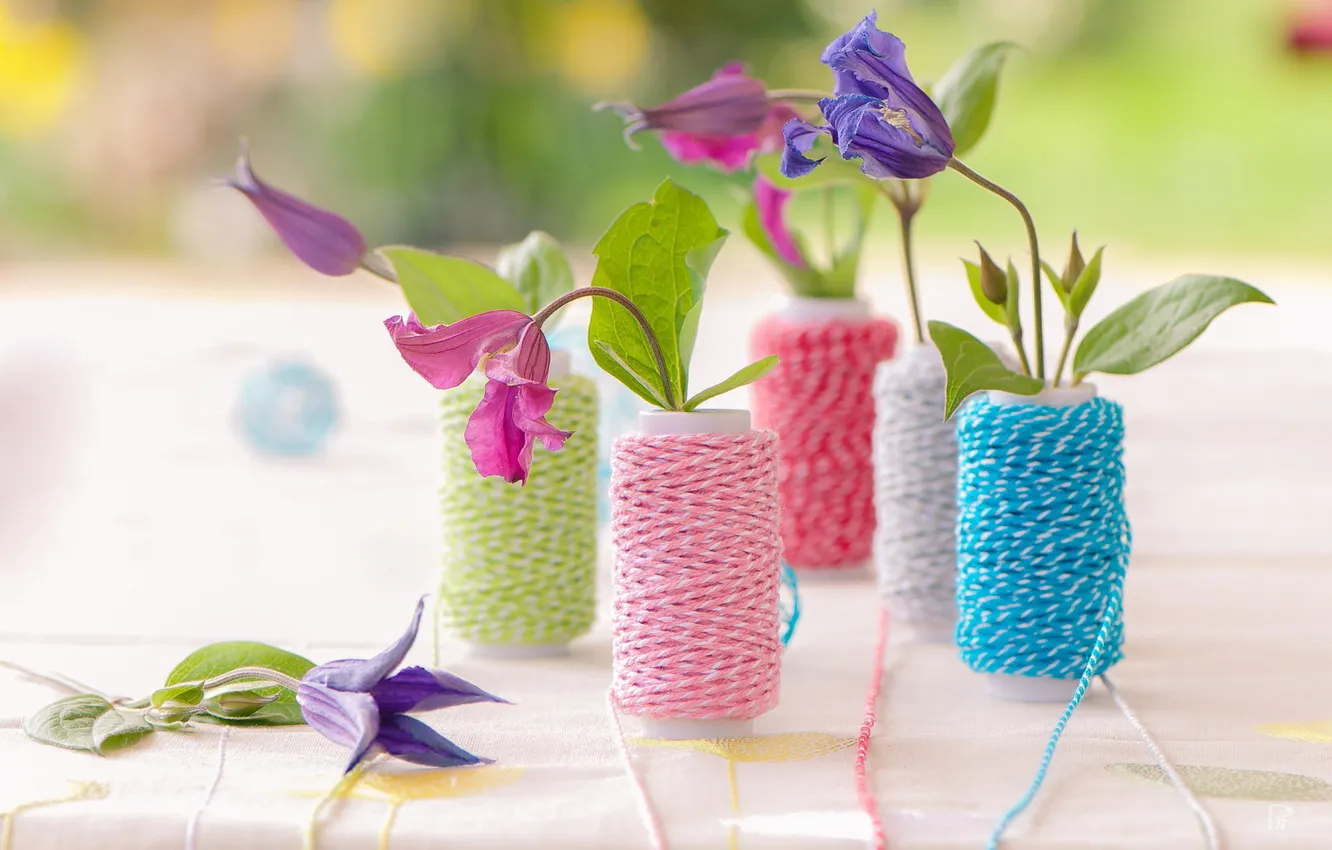 Photo wallpaper flowers, thread, decor, klimatis