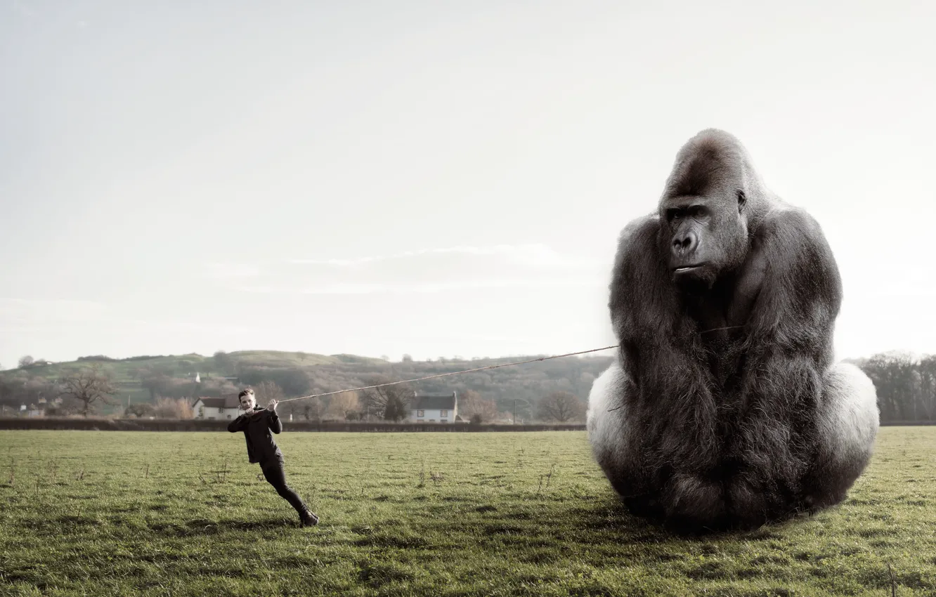 Photo wallpaper people, rope, monkey