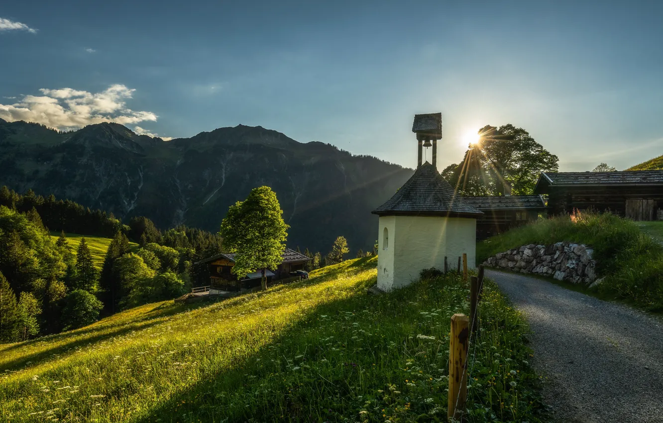 Wallpaper greens, the sky, grass, the sun, trees, mountains, Germany ...