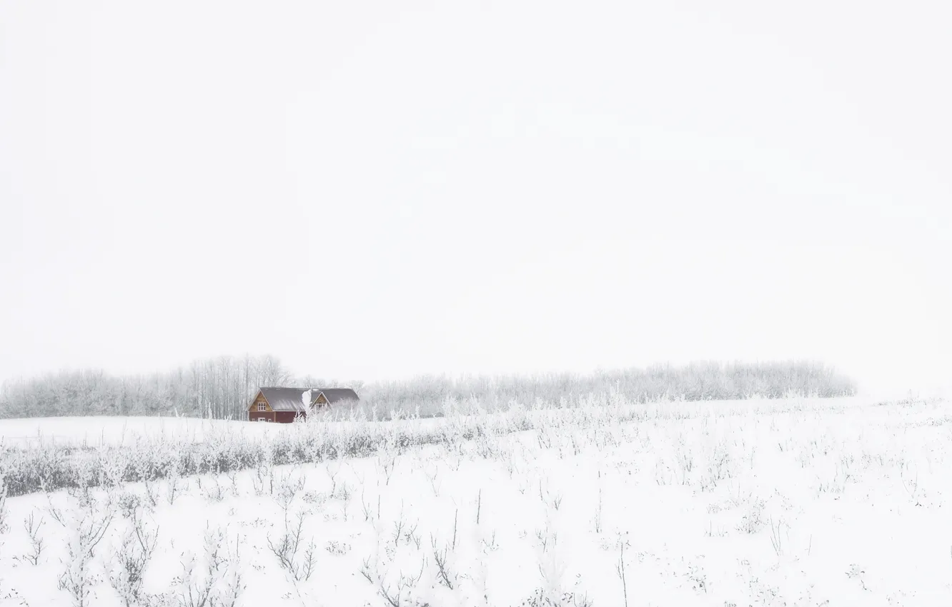 Photo wallpaper winter, field, snow, house