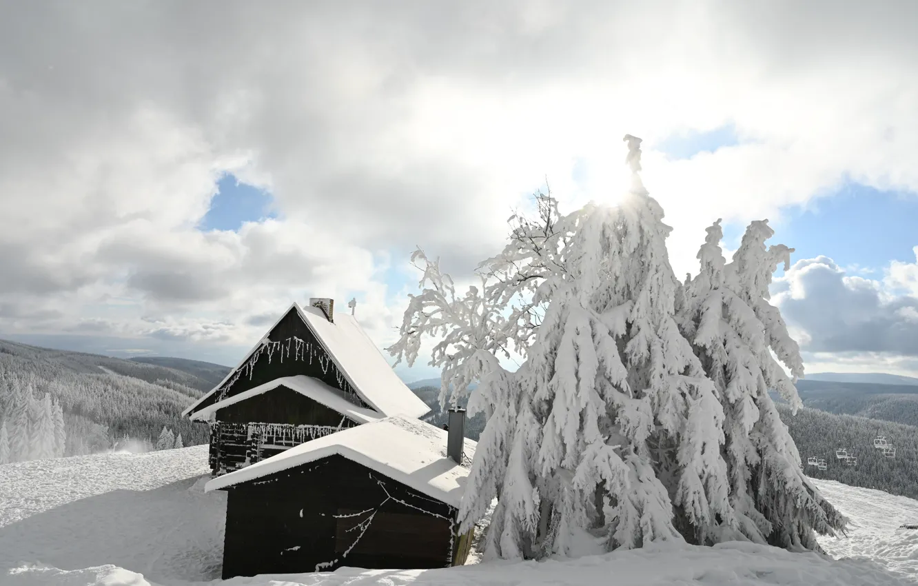 Photo wallpaper winter, frost, roof, forest, the sky, the sun, clouds, rays