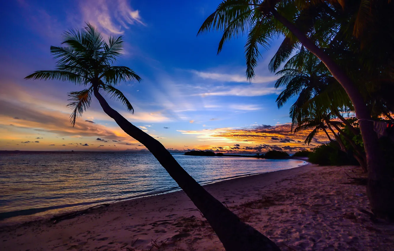 Photo wallpaper palm trees, beauty, sunset, beauty, palm trees, sandy beach, ocean, sandy beach