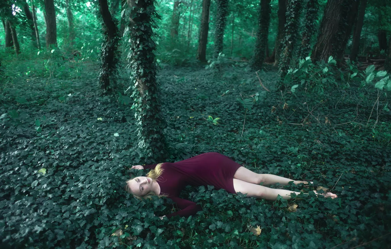 Photo wallpaper forest, girl, pose