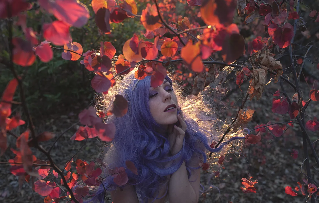 Photo wallpaper look, girl, nature