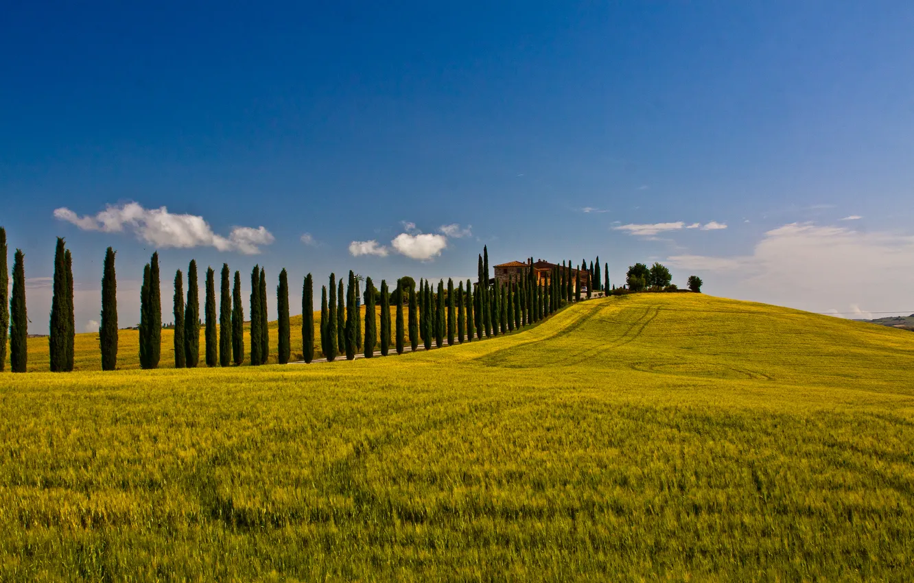 Photo wallpaper road, field, the sky, traces