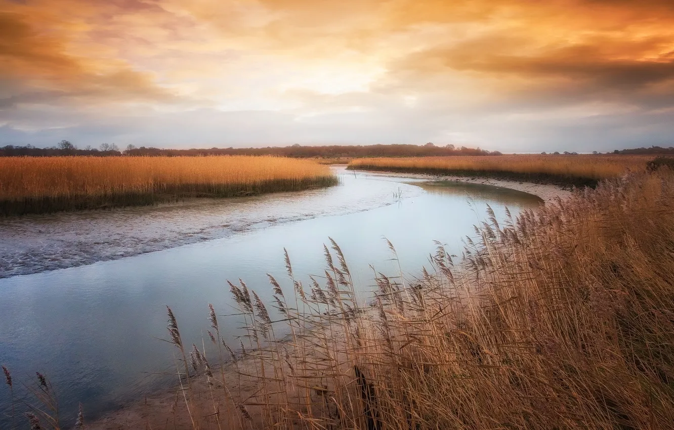 Photo wallpaper autumn, river, reed