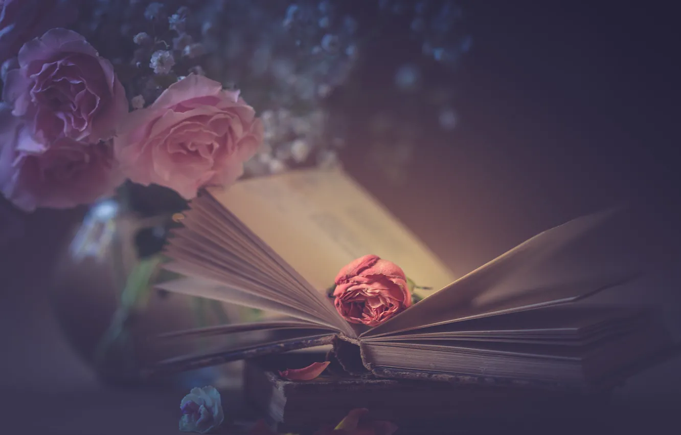 Photo wallpaper style, roses, petals, book, pink