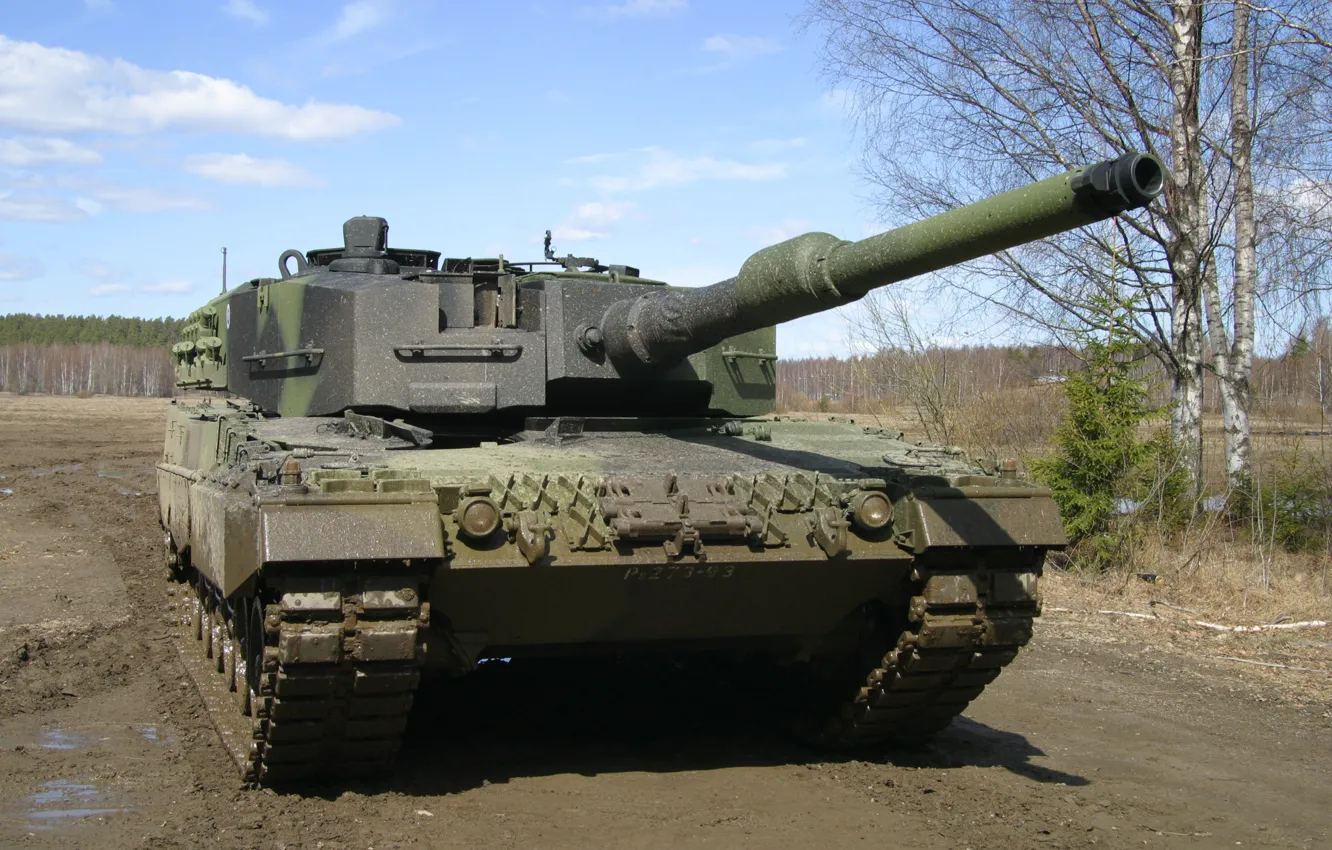 Photo wallpaper leopard, tank, birch