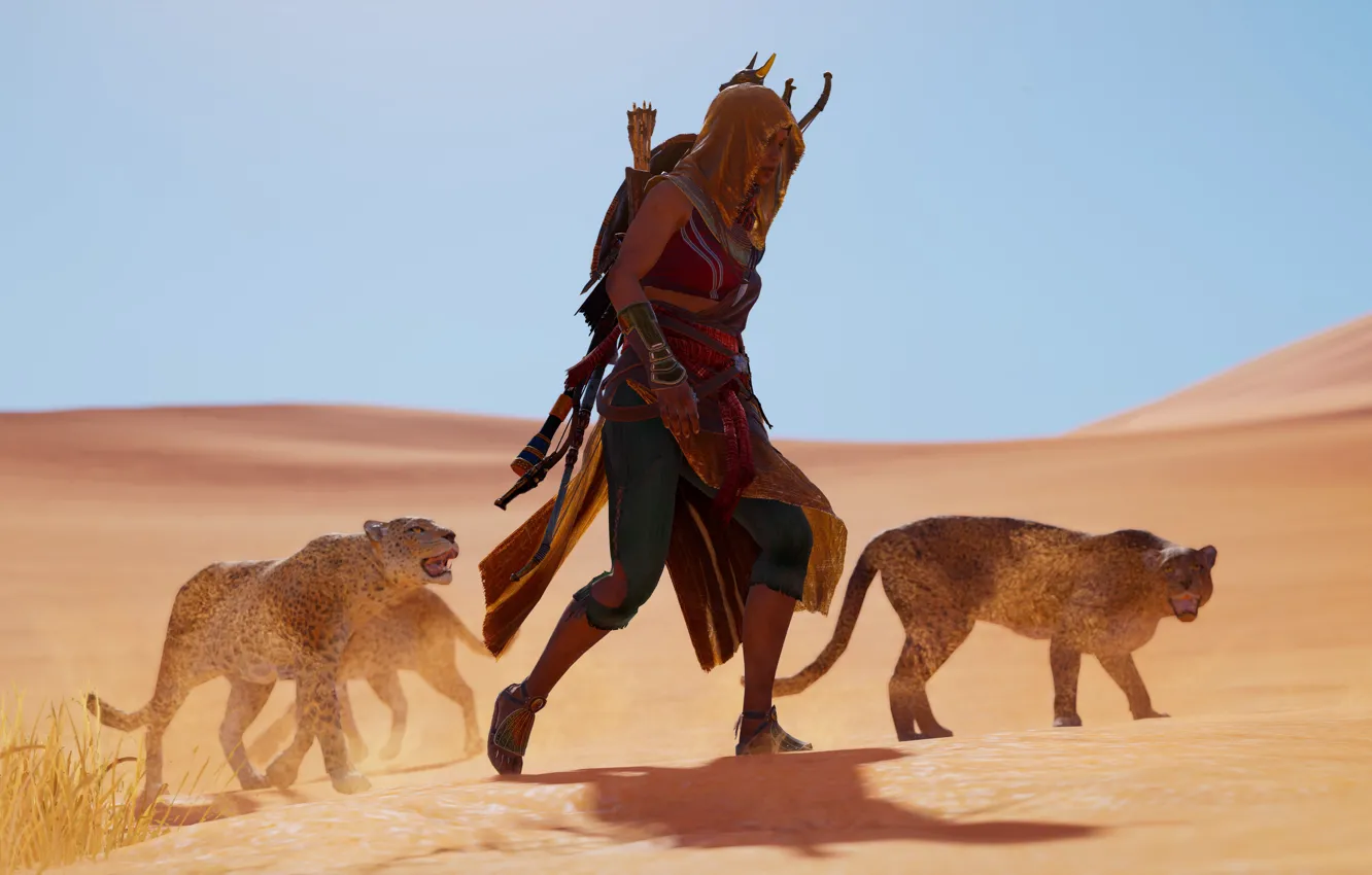 Photo wallpaper game, Ubisoft, Assassin's Creed Origins, Assassin's Creed: Origins