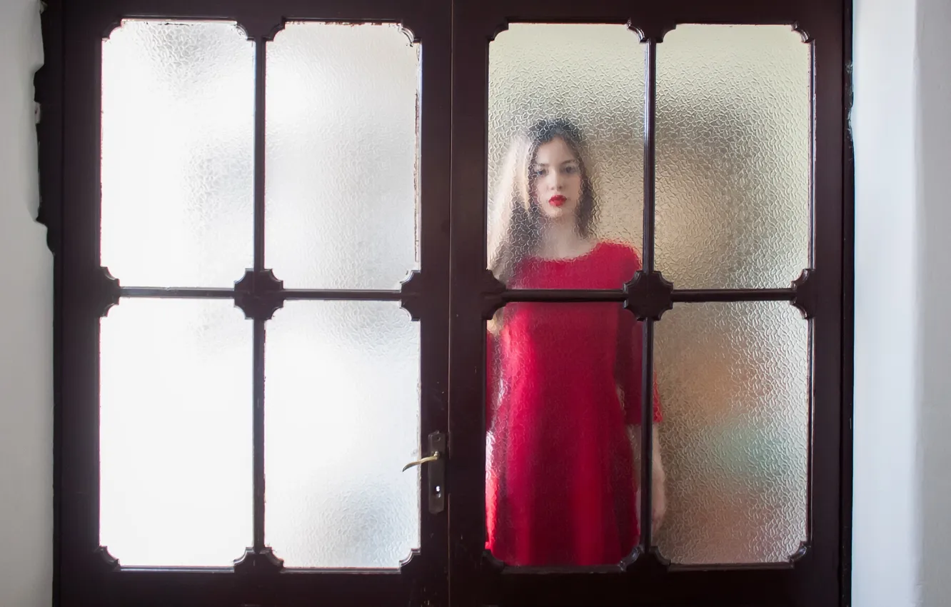 Photo wallpaper girl, mood, the door
