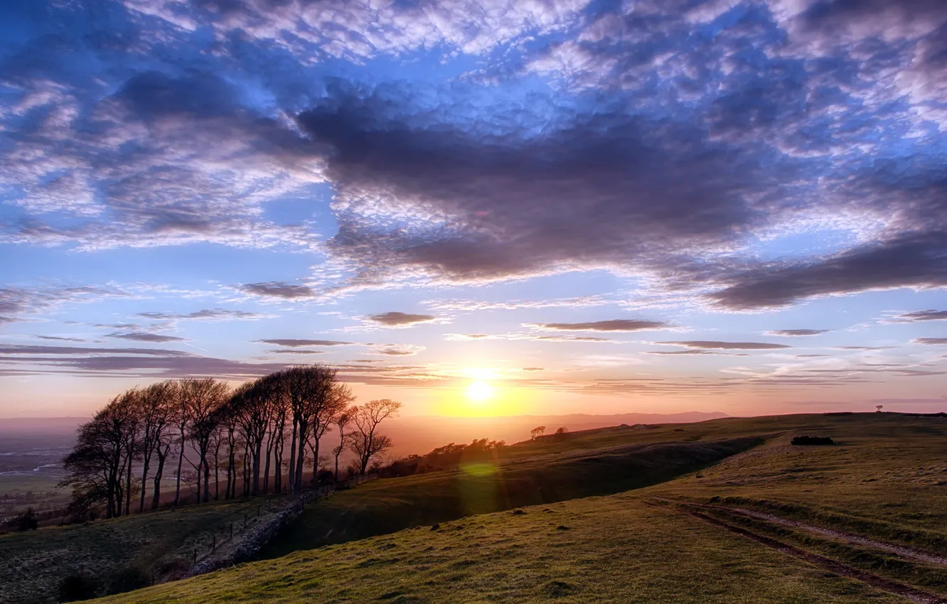 Photo wallpaper field, landscape, sunset