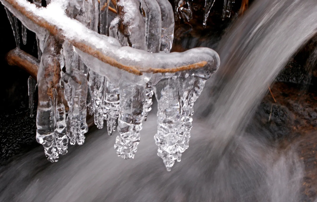 Photo wallpaper ice, winter, water, branches, stream, icicles