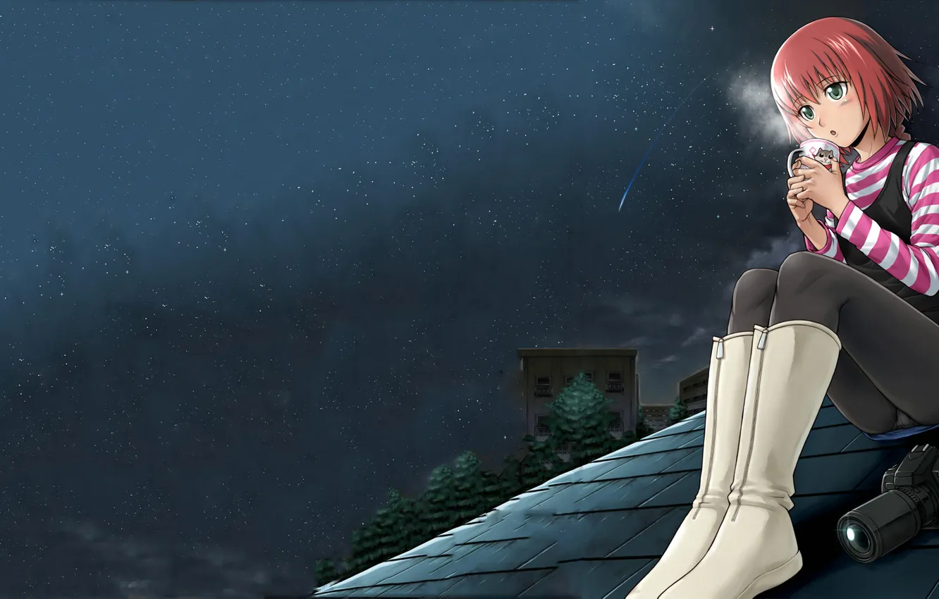 Photo wallpaper roof, the sky, stars, night, the city, home, the camera, girl