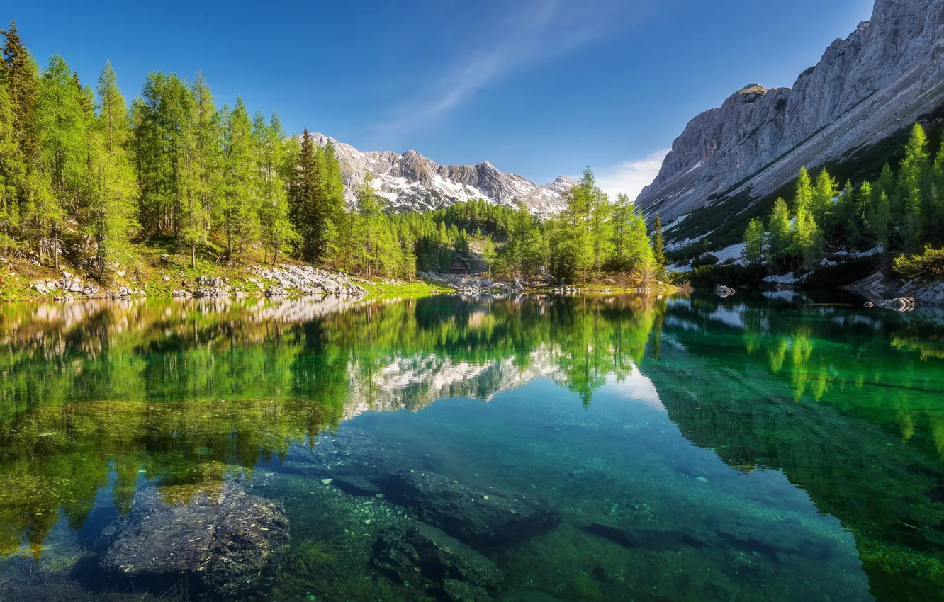 Photo wallpaper forest, trees, mountains, lake, reflection, Slovenia, Slovenia, The Julian Alps