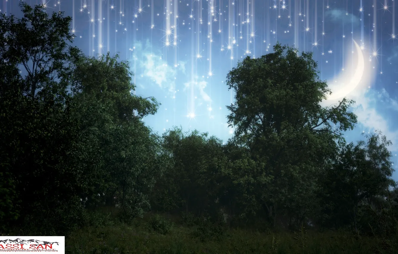 Photo wallpaper the sky, nature, vegetation, a month, so peaceful