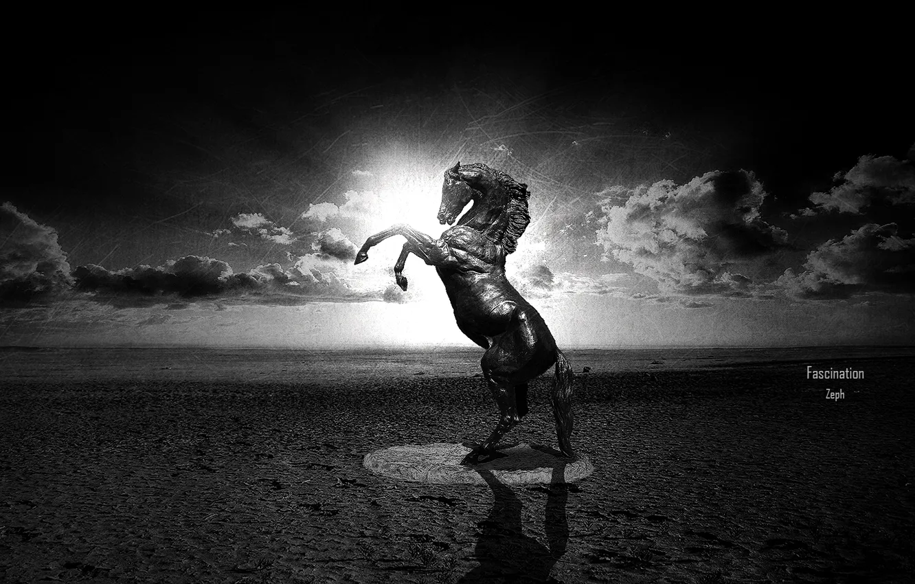 Photo wallpaper horse, Black and white, statue