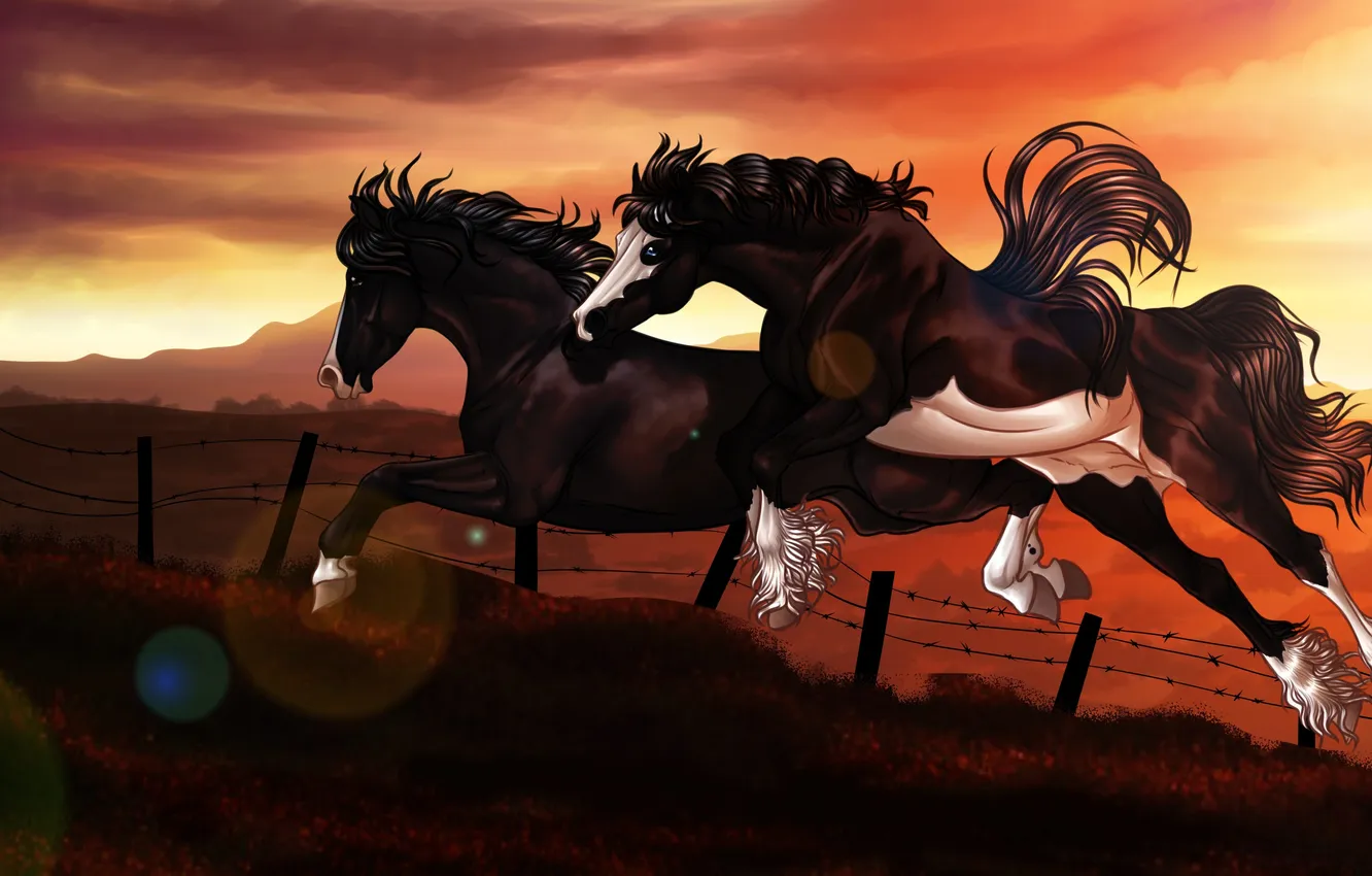 Photo wallpaper sunset, jump, the fence, horses, art, barbed wire