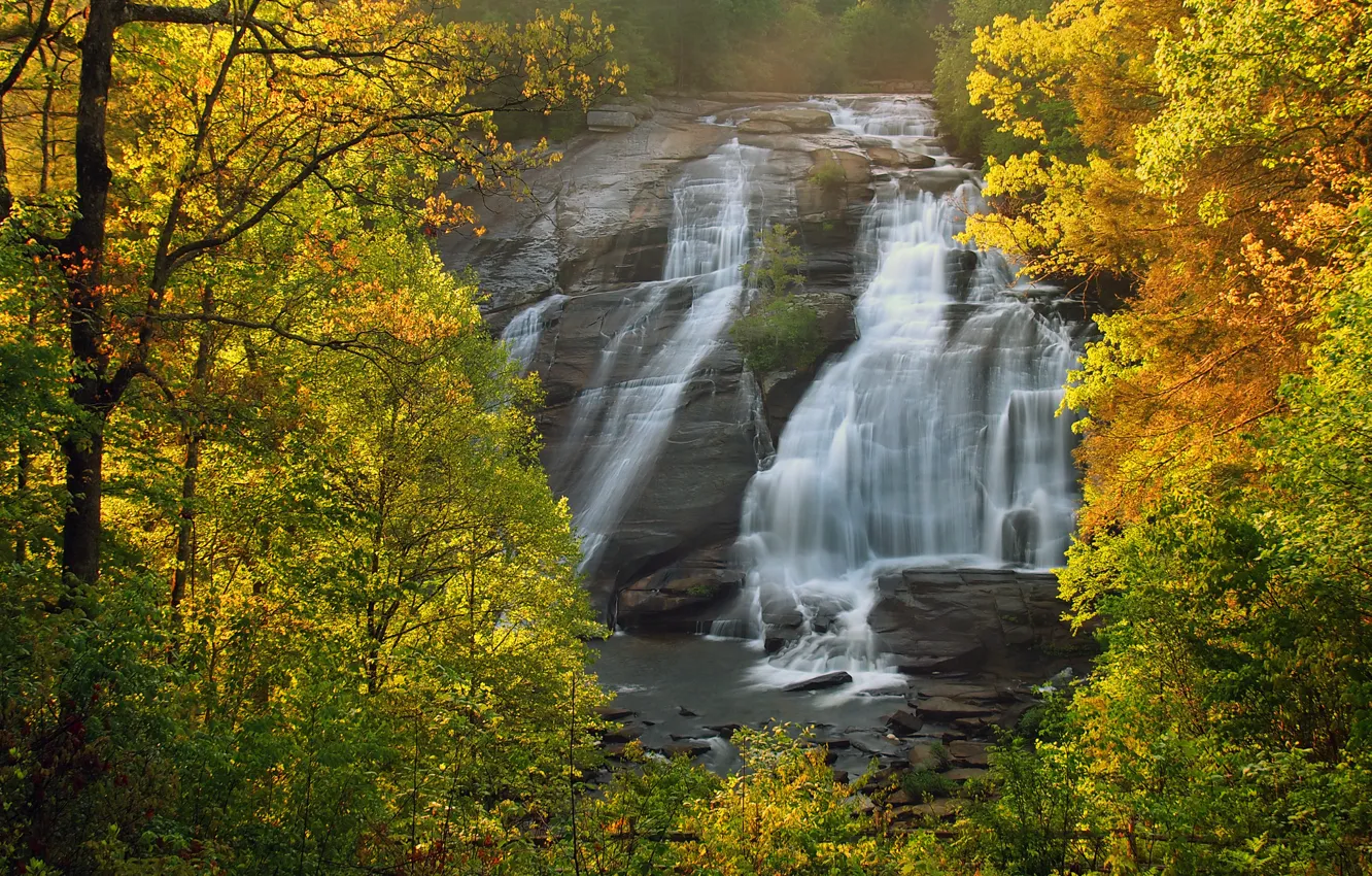 Photo wallpaper autumn, forest, trees, waterfall, North Carolina, North Carolina, DuPont State Forest, High Falls