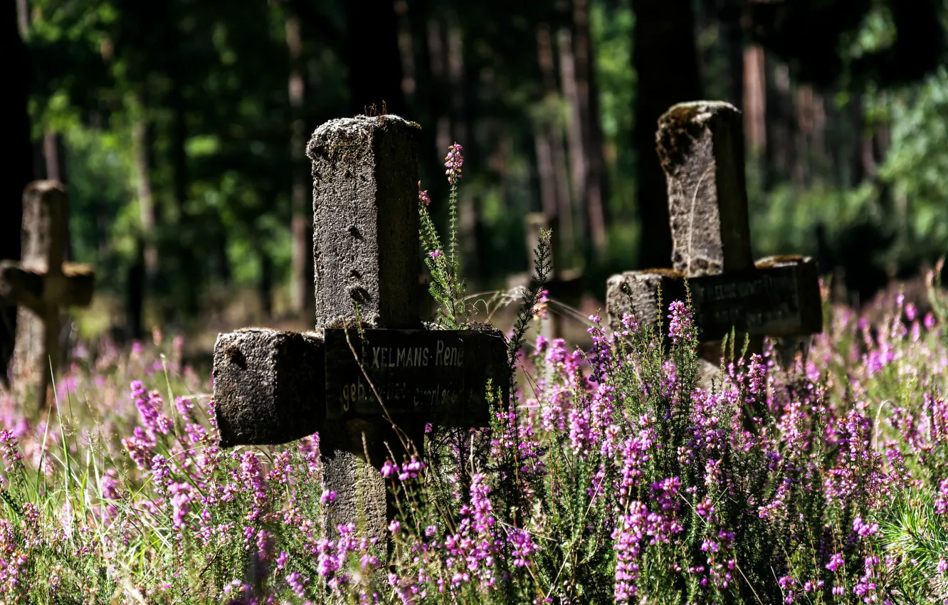Photo wallpaper flowers, crosses, cemetery