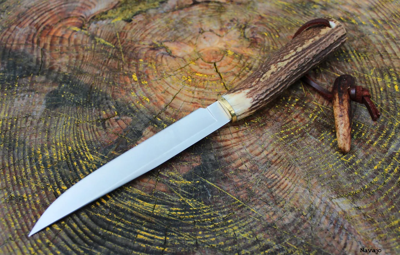 Photo wallpaper trees, leather, knife, horns, long, strap, brass, lanyard