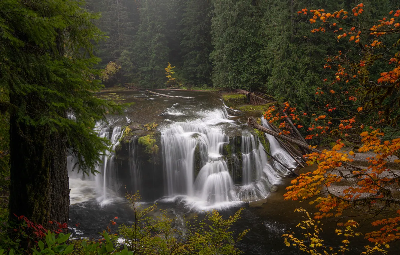 Photo wallpaper autumn, forest, trees, rocks, shore, foliage, view, waterfall