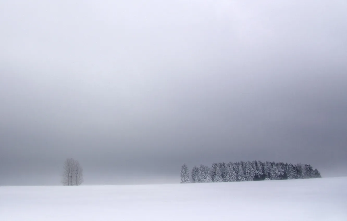 Photo wallpaper winter, field, forest, the sky, clouds, snow, trees, landscape